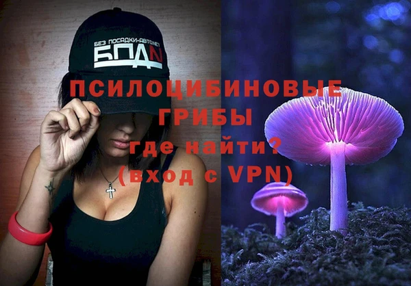 стафф Краснослободск