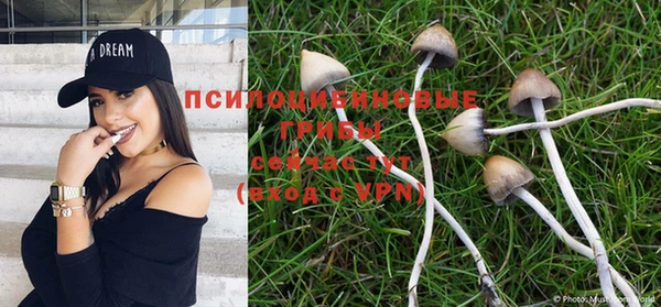 МДПВ Краснотурьинск