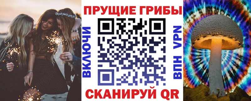 МЕГА ссылка  Кемерово  Псилоцибиновые грибы GOLDEN TEACHER  дарнет шоп 