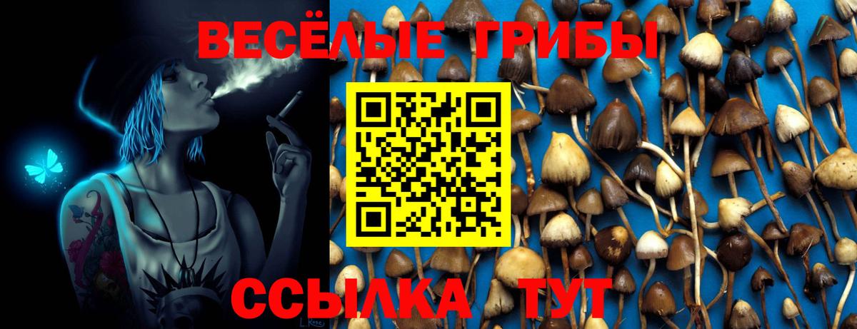 Галлюциногенные грибы GOLDEN TEACHER  Вход с VPN  закладка  Кемерово 