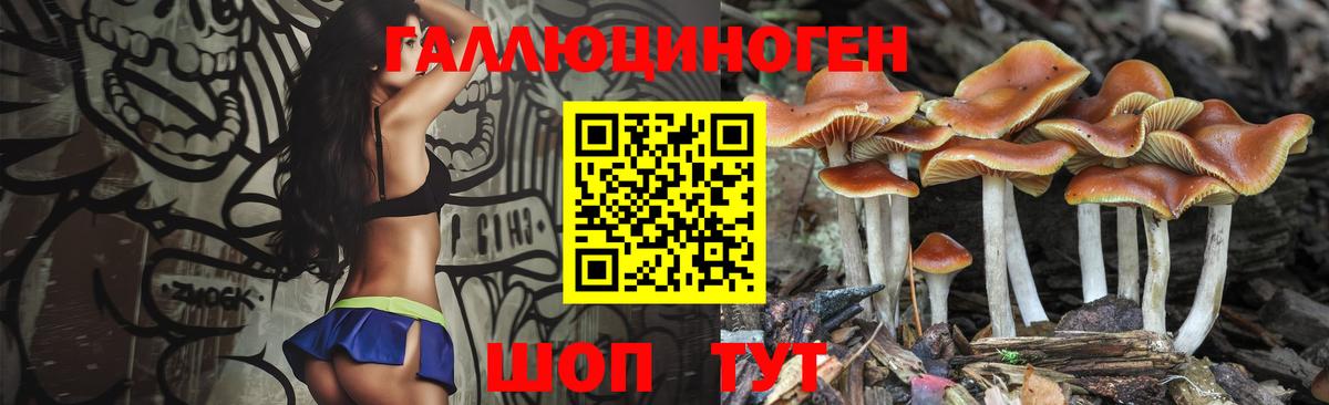 Меф Кемерово