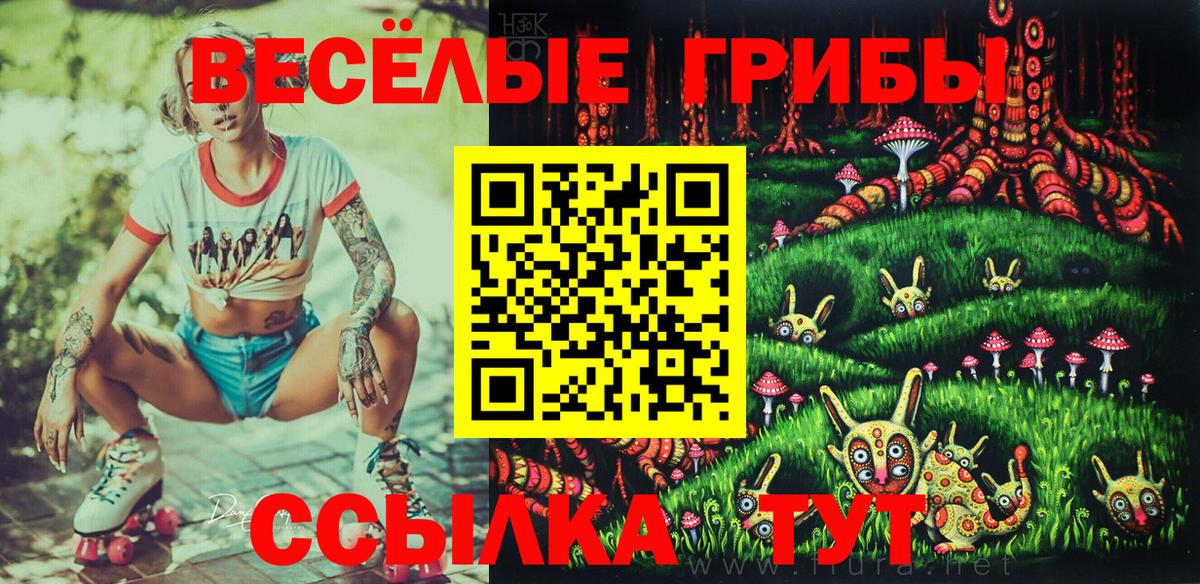 Галлюциногенные грибы Psilocybine cubensis Кемерово