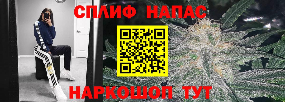 Марихуана планчик  Каннабис конопля  МАРИХУАНА семена  Бошки марихуана White Widow  Кемерово 
